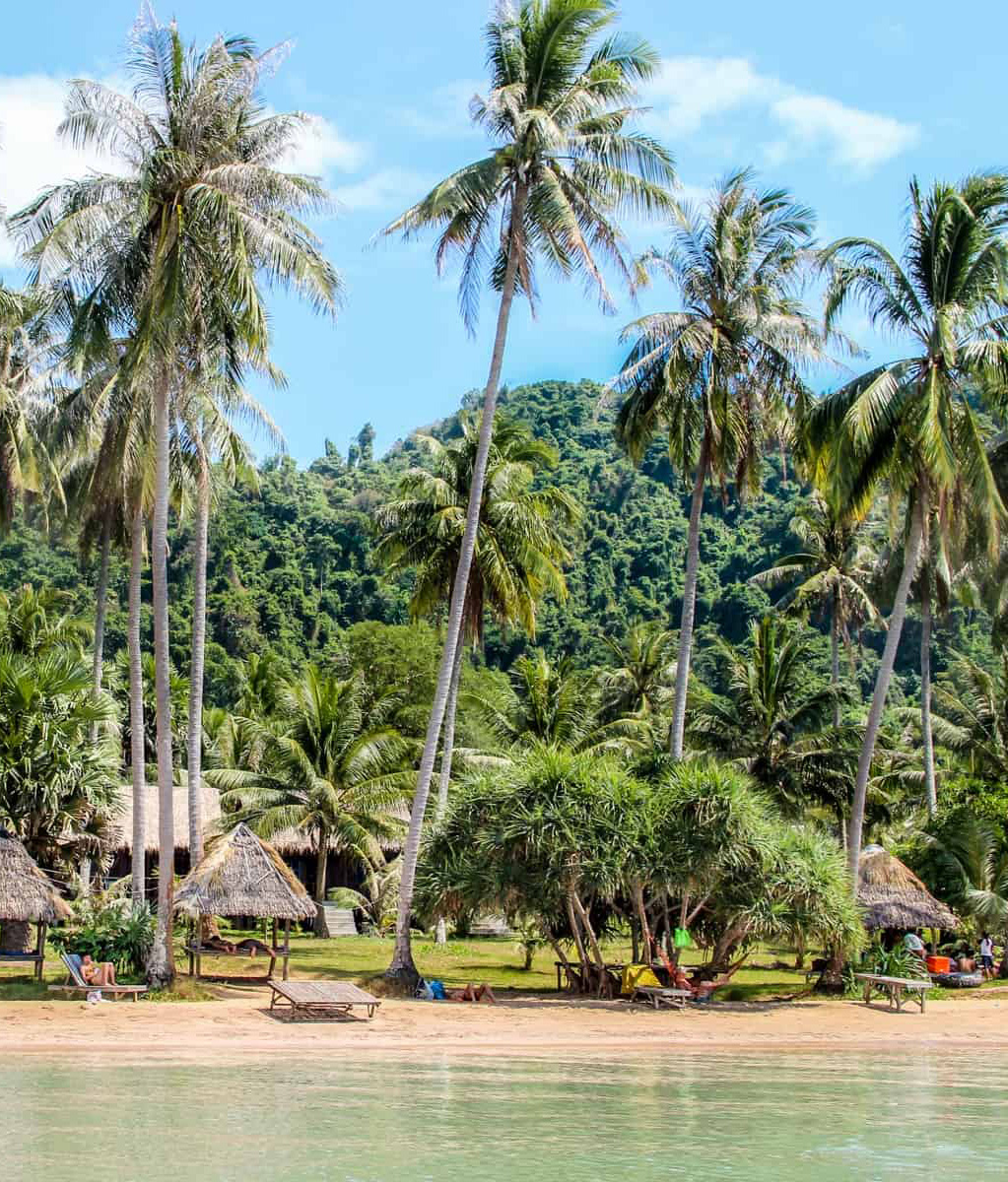 The Fin Travel & Tours