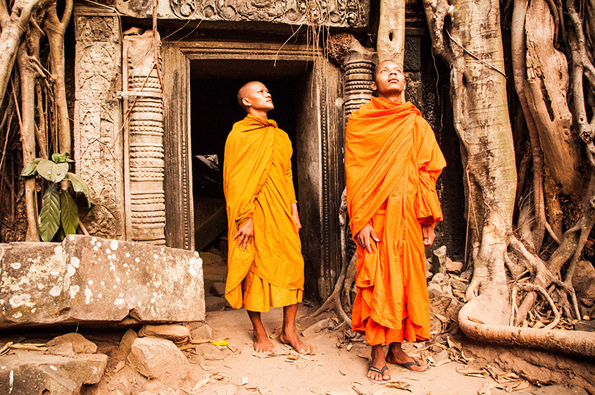 The Fin Travel & Tours