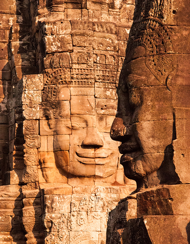 The Fin Travel & Tours