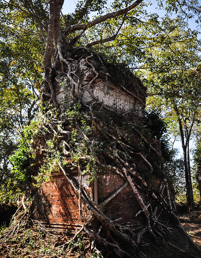 The Fin Travel & Tours