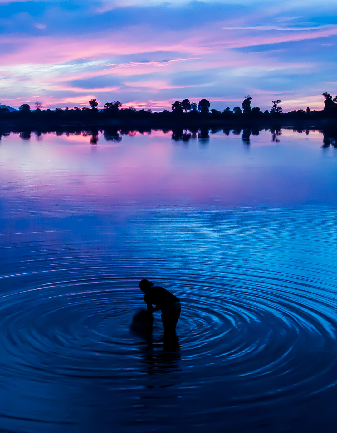 The Fin Travel & Tours